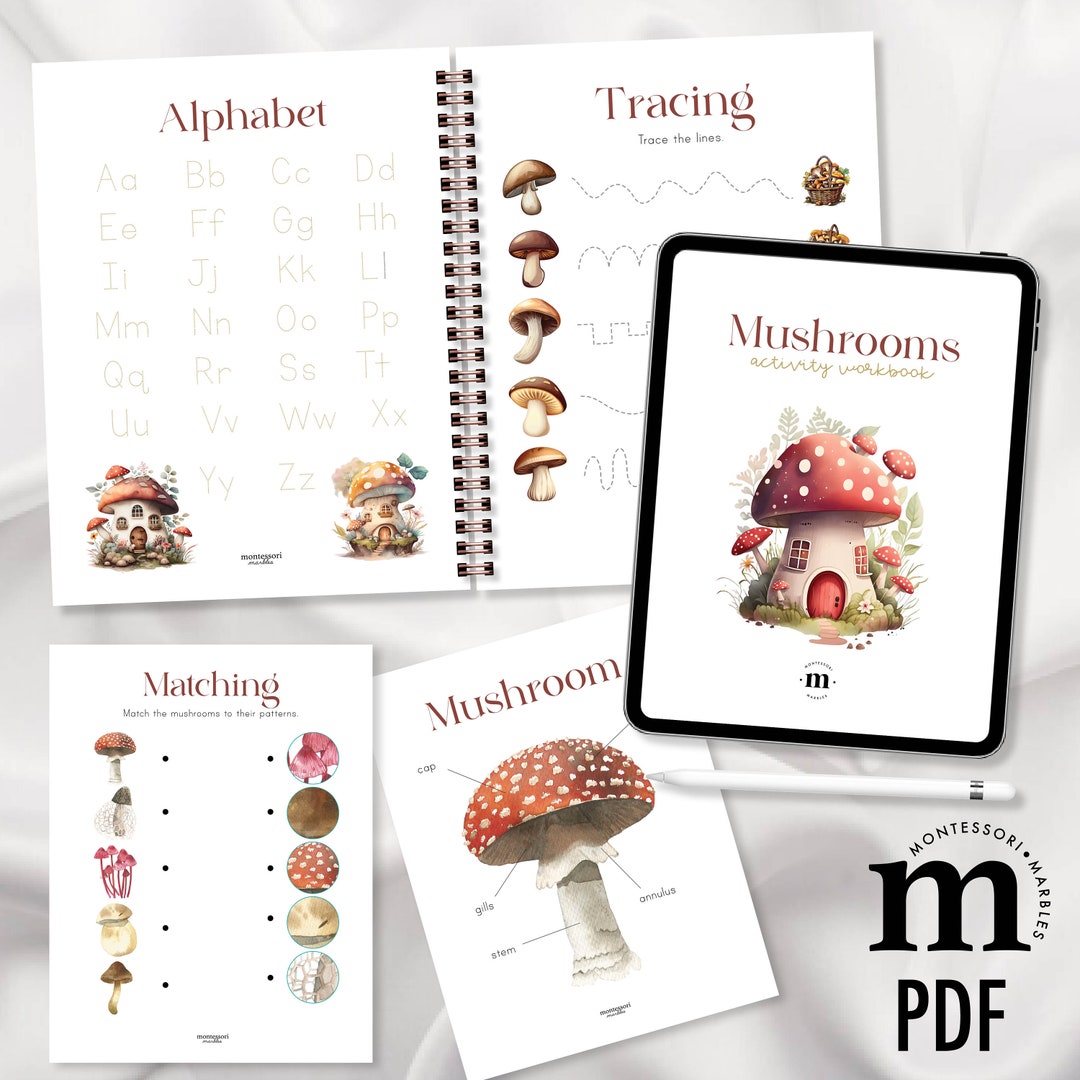 MUSHROOM Activity Workbook and Flash Cards Fun Printable for Fall