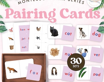 Pink Series Reading Cards | Montessori Language | CVC Words Early Learning Preschool | Printable PDF