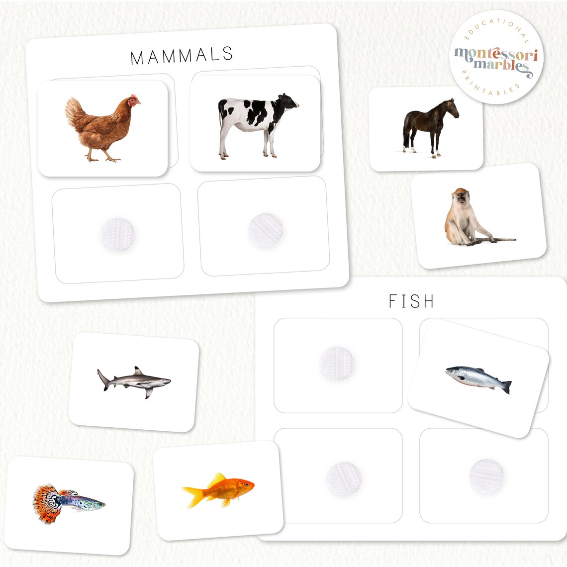 Vertebrates Sort Vertebrates Classification Sorting Cards | Montessori Science Activity ...