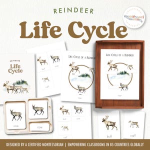 Ciclo de vida das renas | Cartões de nomenclatura Montessori e pôster do ciclo de vida | Planilha em PDF para impressão | Aprendizagem baseada na natureza | Animais de inverno