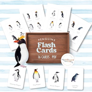 PINGUINS Montessori Flash Cards | Tipos de pinguins | Aprendizagem baseada na natureza para pré-escola e jardim de infância | Montessori Primary Age 3 a 6