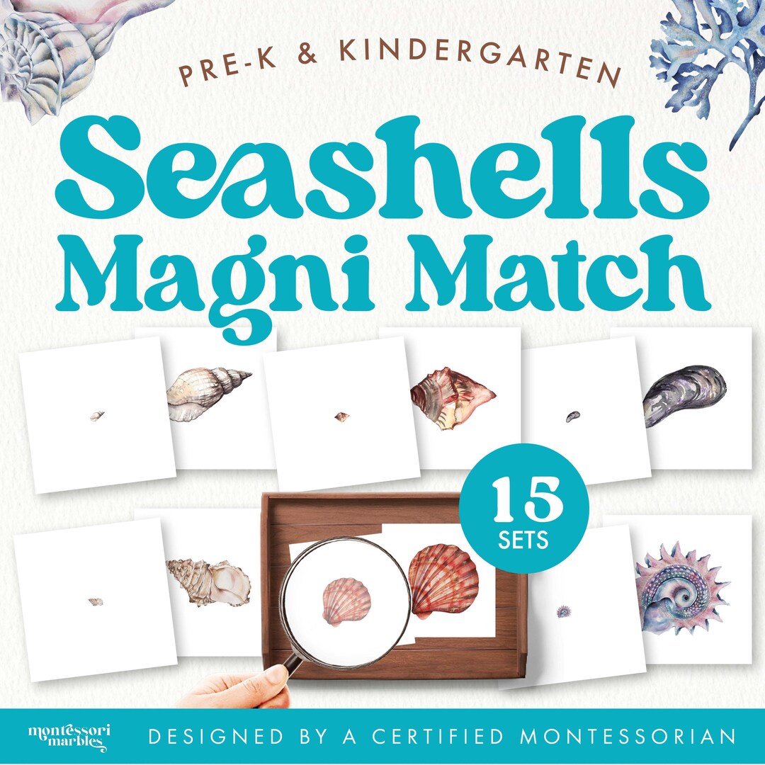 Seashells Magni-match Game | Montessori Science | Preschool ...