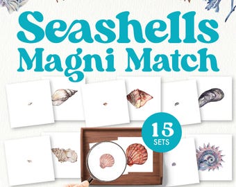 Seashells Magni-Match Game | Montessori Science | Preschool Kindergarten Ages 3-6 | Printable PDF