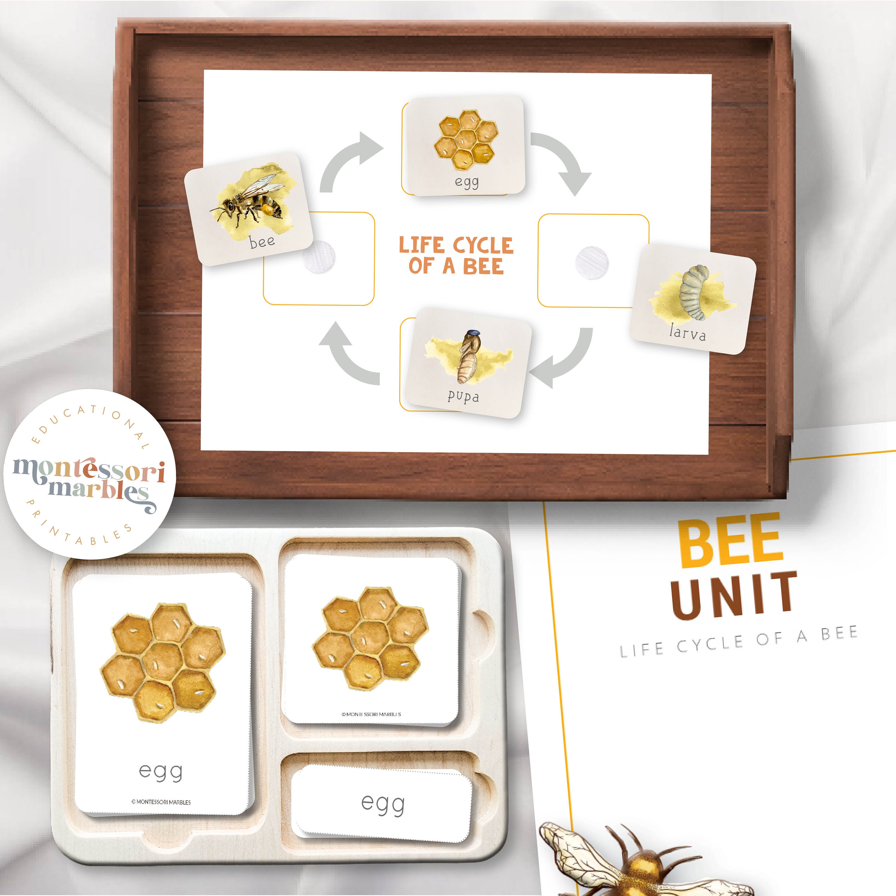 Bee Life Cycle Nomenclature Cards | Montessori Science | Sequencing ...