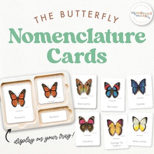Cartes de nomenclature Montessori PAPILLON | Types de papillons | Activité printanière, unité papillon | Activité Montessori inspirée de la nature