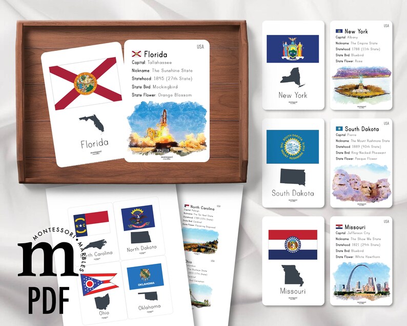 UNITED STATES Fact Cards Montessori Inspired Printable - Etsy