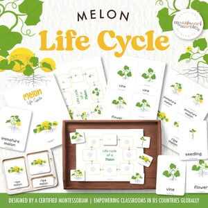 Life Cycle of a Melon and Montessori Nomenclature Cards | Growing Melon Worksheet | Nature-Based Learning for Montessori-Inspired Classroom