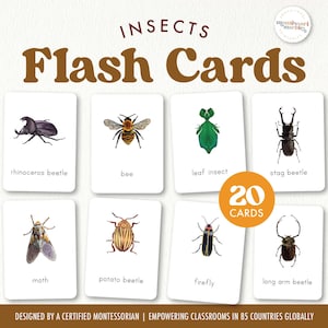 Flashcards sobre INSETOS | Construtor de Vocabulário sobre Natureza | Imprimível Inspirado em Montessori para Pré-escola e Jardim de Infância | Aprendizagem Baseada na Natureza