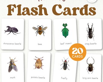 Insects Flash Cards | Montessori Nature Vocabulary Builder | Preschool and Kindergarten Science Learning