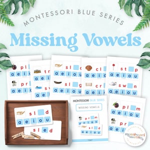 Montessori Blue Series Missing Vowels Cards: Learn to Read (Digital Download)