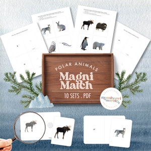 POLAR ANIMALS Magni Match | Magnifying Matching Game | Montessori at Home | Using magnifying glass