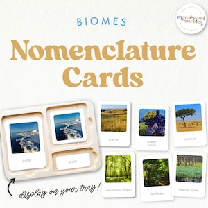 Cartes de nomenclature BIOMES | Cartes inspirées de Montessori | Sciences humaines Géographie | Différents types de biomes
