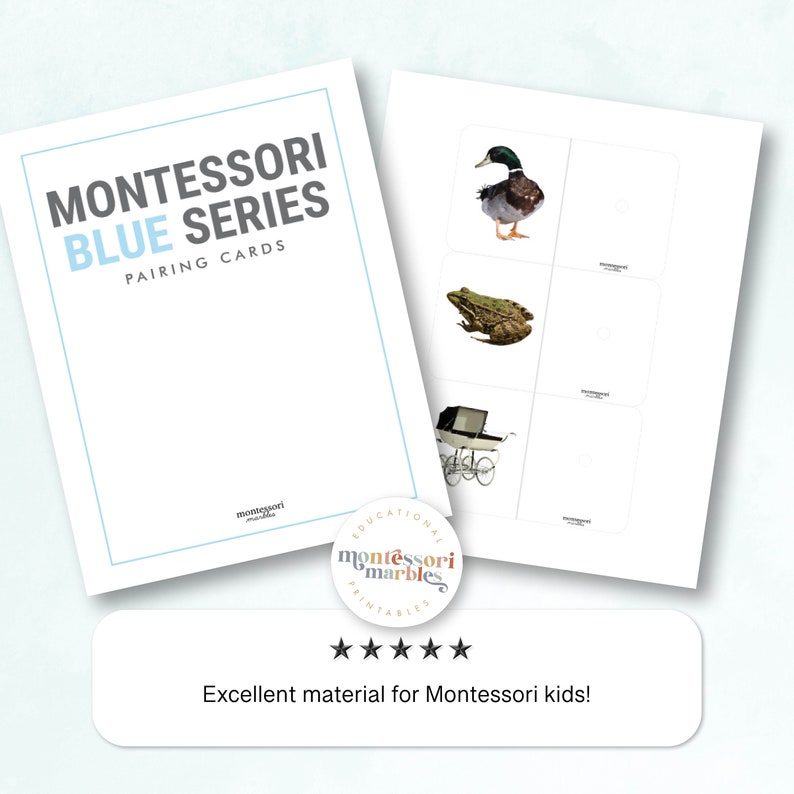 Blue Series Pairing Cards | Montessori Language | Early Literacy ...