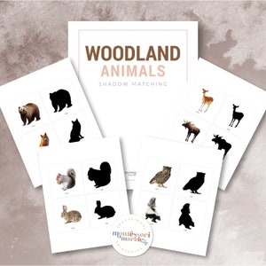 May include: A set of printable woodland animal shadow matching cards. The cards feature images of a bear, fox, squirrel, rabbit, deer, moose, owl, and skunk. The cards are designed for use in a Montessori classroom or at home.