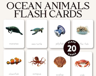 Ocean Animals Flash Cards, Montessori Sea Creatures Printable, Homeschool Preschool Vocabulary, Marine Life Unit Study, Digital Download