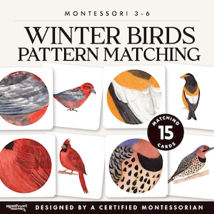 May include: A set of 15 matching cards titled Winter Birds Pattern Matching for ages 3-6. The cards feature watercolour illustrations of various birds and close-up circular patterns of their feathers in red, orange, black, and white colours.