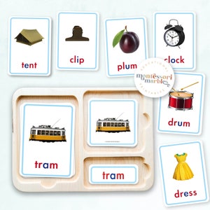 Blue Series Nomenclature Cards | Montessori Language | Consonant Blends ...