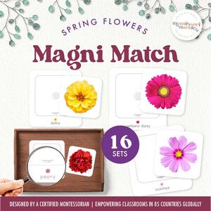 FRÜHLINGSBLUMEN Lupenspiel | Montessori zu Hause mit Lupe | Frühlingsaktivität für Vorschule & Kindergarten