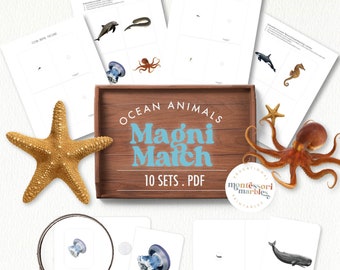 MEERESTIERE Magni-Match | Montessori inspiriert druckbare | Mit Lupe | Sommer-Thema | Wissenswertes zu Meerestieren
