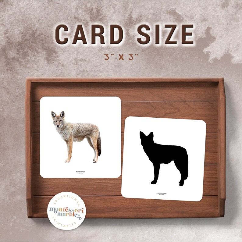 May include: Two 3x3 inch cards, one with a coyote illustration and the other with a coyote silhouette. The cards are part of a Montessori educational set.