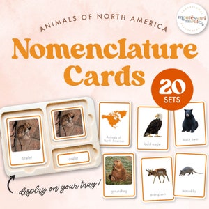 ANIMAUX D'AMÉRIQUE DU NORD Cartes de nomenclature Montessori | Apprentissage basé sur la nature pour la classe Montessori | Primaire Montessori 3 à 6 ans