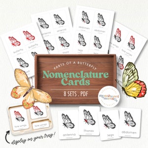 Parts of a Butterfly | Montessori Nomenclature Three-Part Cards | Montessori Inspired Learning Resources | Butterfly Unit for Spring