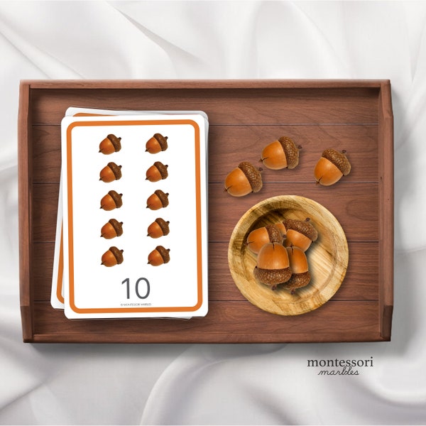 FALL Acorns Counting 1 to 10 | Montessori Inspired Counter Cards for Fall Theme | Back to School Activity