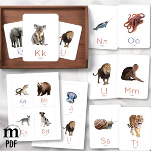 BEGINNING SOUNDS Flash Card Montessori, Phonics, Vocabulary Builder, Montessori baby flash card, Flash Cards for Toddlers