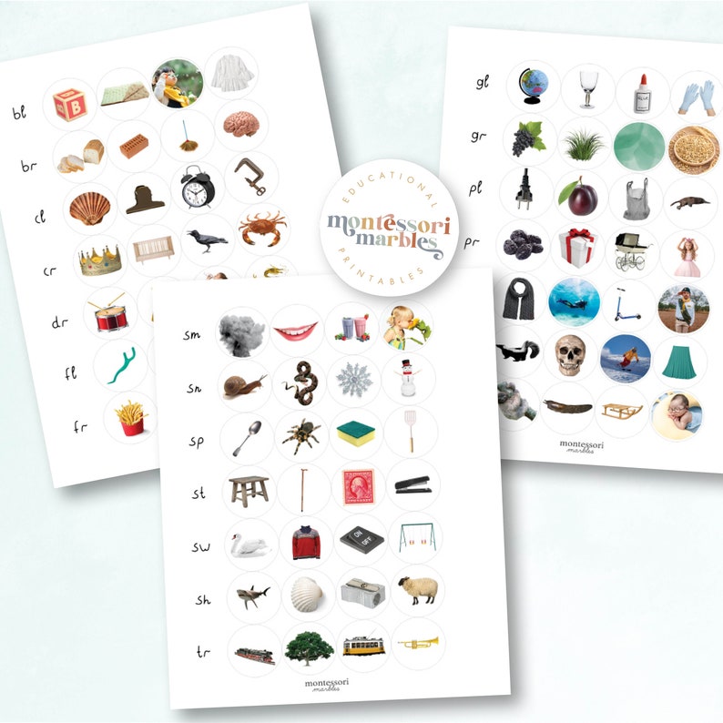 Blue Series Beginning Blends Sorting Cards | Montessori Language ...