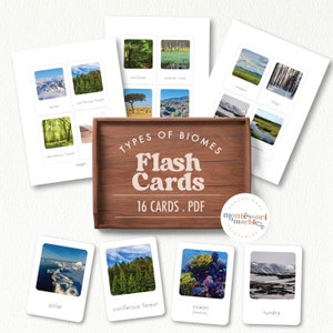 BIOMES Flash Cards | Montessori Inspired Cards | Social Studies Geography | Different Types of Biomes