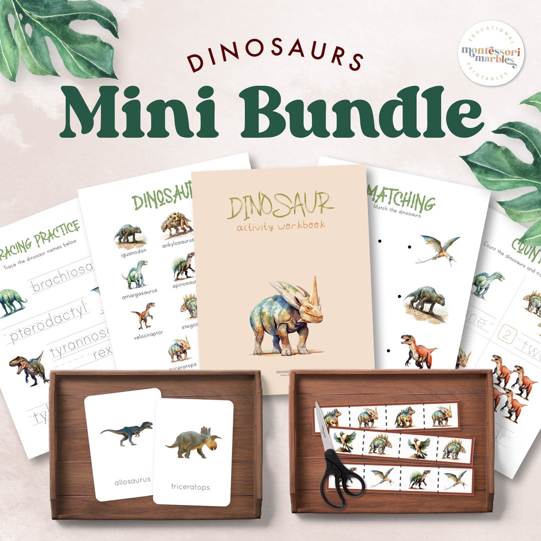 Dinosaur Activity Mini Bundle | Montessori Flash Cards, Cutting Strips ...