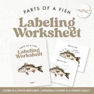 Puede incluir: Conjunto de hojas de trabajo educativas titulado "Partes de un pez - Hoja de trabajo de etiquetado". Las hojas de trabajo presentan ilustraciones de peces con indicaciones de etiquetado. El diseño utiliza una paleta de colores neutros y una fuente serif.