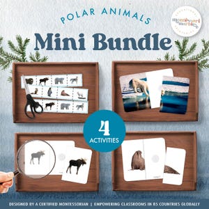 Mini paquete de ANIMALES POLARES / 4 actividades sensoriales y de motricidad fina para niños pequeños de 2 a 5 años / Tema de invierno para preescolar y jardín de infantes de enero