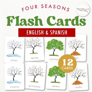 Cartes éclair QUATRE SAISONS | Types de nuages | En savoir plus sur la météo | Montessori à la maison pour le préscolaire et l'école à la maison | Apprentissage basé sur la nature