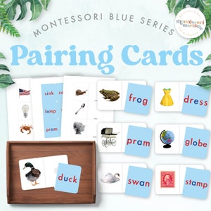 MONTESSORI BLUE SERIES Tarjetas de emparejamiento / Actividades lingüísticas Montessori para la alfabetización temprana / Actividades previas a la lectura