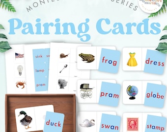 Blue Series Pairing Cards | Montessori Language | Early Literacy Reading Kindergarten Phonics | Printable PDF