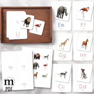 BEGINNING SOUNDS Passende Karten, Montessori-Aktivitäten, Phonetik lernen, erster Klang, Vorleser für die Vorschule, Lesen lernen