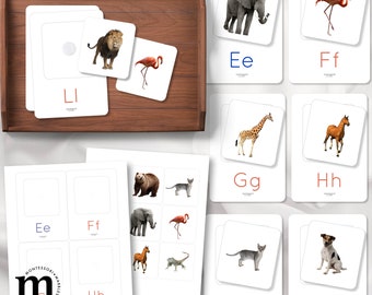 BEGINNING SOUNDS Matching Cards, Montessori Activity Cards, Learning Phonetic, Initial Sound, Preschool Pre-Readers, Learning to Read