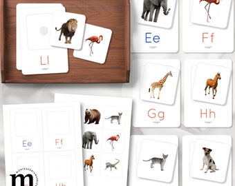 Montessori Beginning Sounds Flash Cards Animal Alphabet | Phonics Nomenclature | Preschool Language Learning PDF Ages 3-6