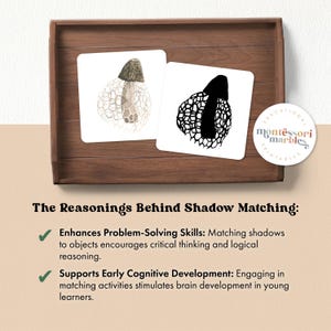 May include: Two cards, one with a white background and a black and white illustration of a mushroom, and the other with a white background and a color illustration of the same mushroom. The text on the cards reads "The Reasonings Behind Shadow Matching: Enhances Problem-Solving Skills: Matching shadows to objects encourages critical thinking and logical reasoning. Supports Early Cognitive Development: Engaging in matching activities stimulates brain development in young learners."