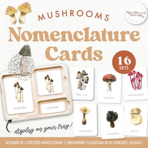 CHAMPIGNONS Cartes de nomenclature | Vocabulary Builder Montessori pour tout-petits | Flashcards sur le thème de l'automne