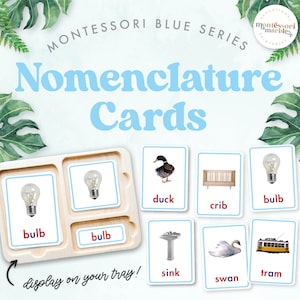 MONTESSORI BLUE SERIES Tarjetas de nomenclatura Montessori / Mezclas de consonantes / Vocales Schwa / Ortografía de palabras de 4 letras y 5 letras / Tarjetas de 3 partes