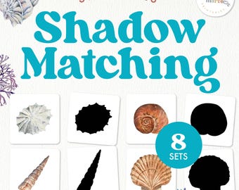 May include: Seashell Shadow Matching Activity with 8 sets of cards. Each card features a seashell and its corresponding shadow. The cards are white with a blue border and the title "Seashells Shadow Matching" is in large blue letters.