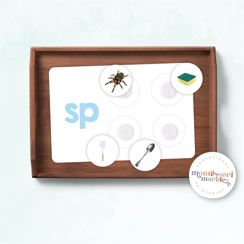 Blue Series Beginning Blends Sorting Cards | Montessori Language ...