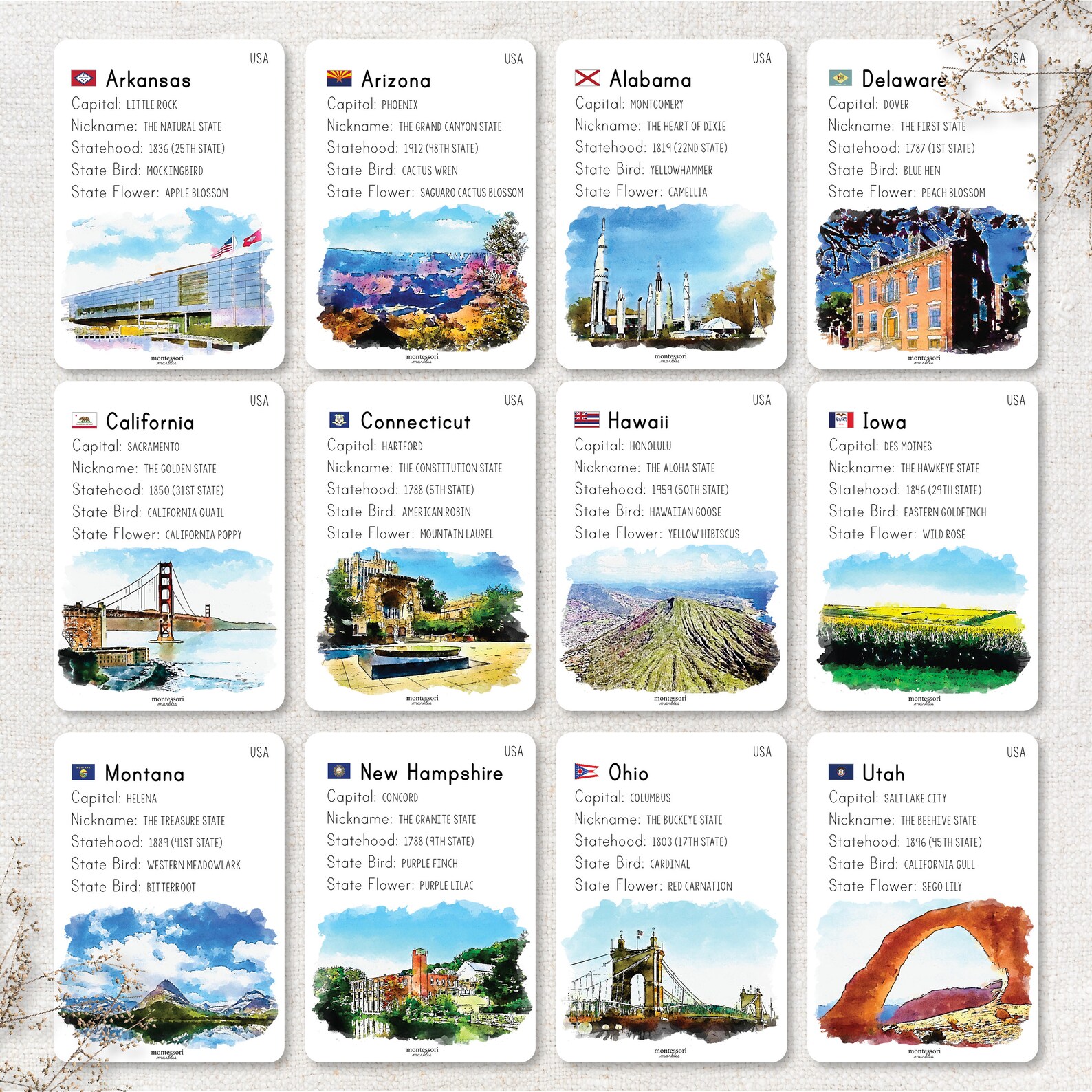 UNITED STATES Fact Cards Montessori Inspired Printable - Etsy