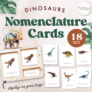 Tarjetas de nomenclatura Montessori de DINOSAURIOS, Tarjetas de criaturas prehistóricas, Educación en casa Montessori PreK, Vocabulario para la unidad de dinosaurios preescolar