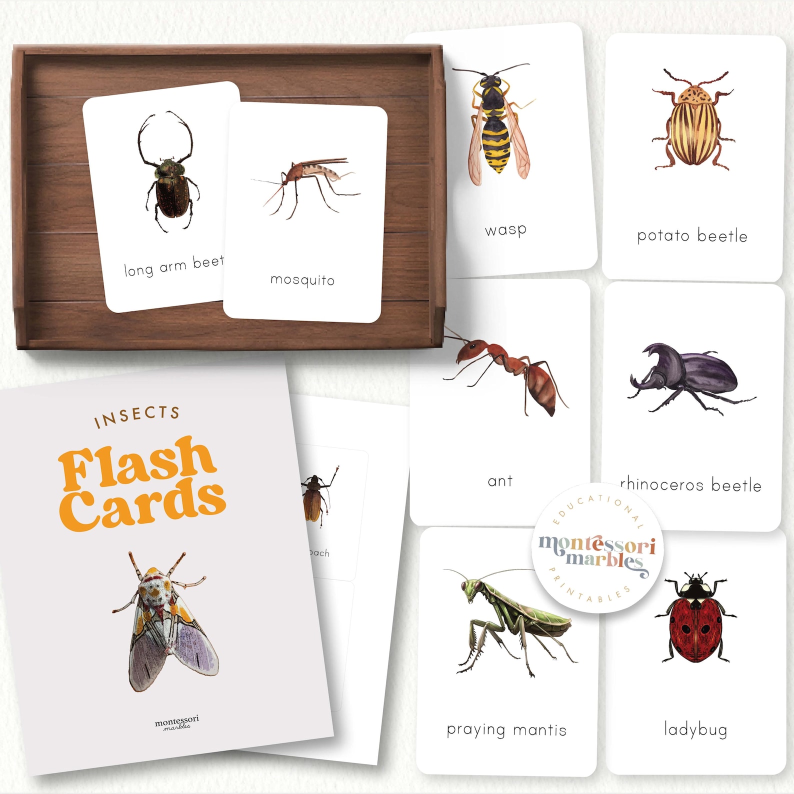 Insects Flash Cards | Montessori Nature Vocabulary Builder | Preschool ...