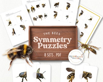 Bees Two-Piece Puzzles | Montessori Spring Matching Activity | Toddler Visual Discrimination Printable