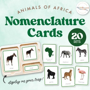 ANIMALES DE ÁFRICA Tarjetas de Nomenclatura Montessori / Aprendizaje basado en la naturaleza para preescolar y jardín de infantes / Primaria Montessori de 3 a 6 años