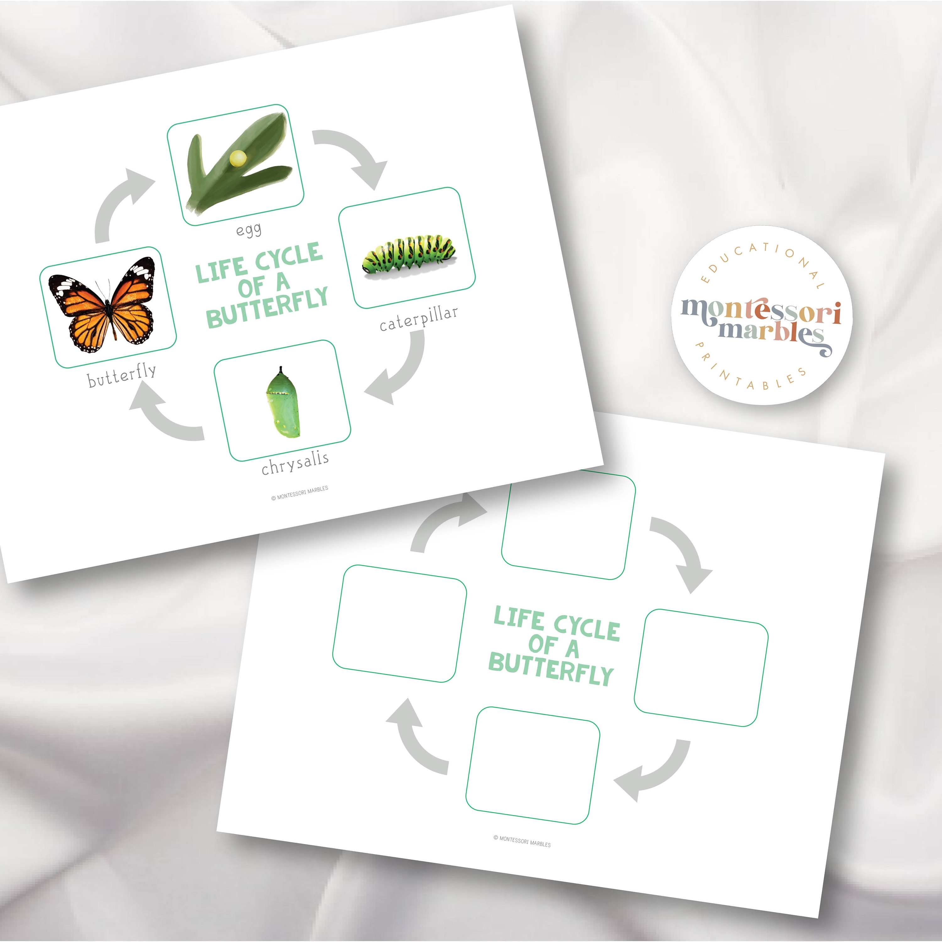 Butterfly Life Cycle 3-part Cards | Montessori Science | Sequencing ...